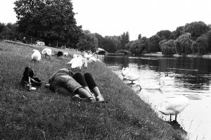 Cuddling couple on the water surrounded by swans. Kreuzberg. Berlin, Germany. 2016 © Linus Ma. all rights reserved / www.linusma.com