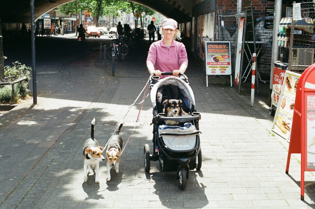 Woman with broken nose and dogs in Köln, Ehrenfeld. Germany. 2016 © Linus Ma. all rights reserved